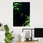 Poster Black Labrador cachette. (Bureau à domicile)