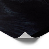 Poster Black Labrador Dog (Coin)