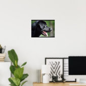 Poster Black Labrador Dog (Bureau à domicile)