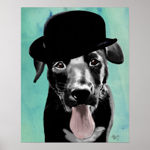Poster Black Labrador in Bowler Hat