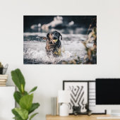 Poster Black Labrador Joue La Récupération Dans L'Eau (Bureau à domicile)