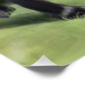 Poster Black Labrador Retriever Arleigh on the Coast Art (Coin)