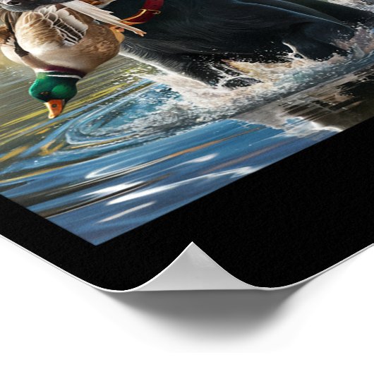 Poster Black Labrador Retriever Chien Chasse Canards Dans (Coin)