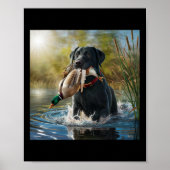 Poster Black Labrador Retriever Chien Chasse Canards Dans (Devant)