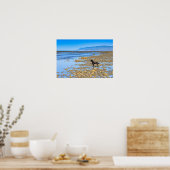 Poster Black Labrador sur la plage (Cuisine)