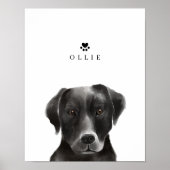 Poster Black Labrador Watercolor Illustration Nom du chie (Devant)