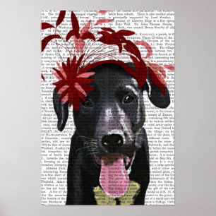 Poster Black Labrador With Red Fascinator