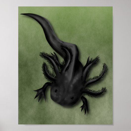 Poster Black Melanoid Axolotl Art (Devant)