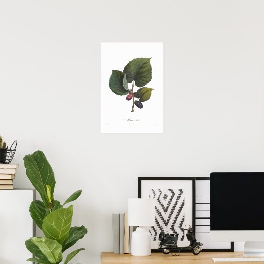 Poster Black Mulberry (Bureau à domicile)