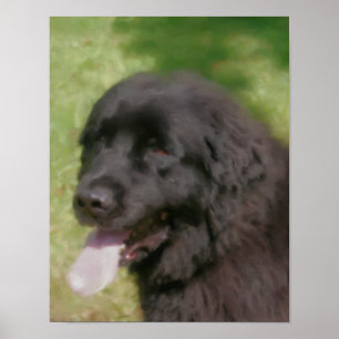 Poster Black Newfoundland Dog Art Pastel