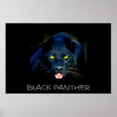 Poster Black Panther (Devant)