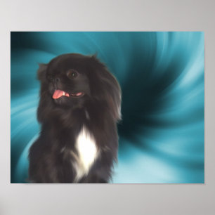 Poster Black Pekingese Blue Swils Dog Art