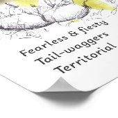 Poster Black Phoebe Bird Tuxedo Black Tree Drawing  (Coin)