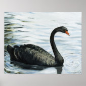 Poster "Black Swan" Oiseau Art Imprimer (Devant)