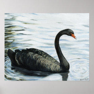 Poster "Black Swan" Oiseau Art Imprimer