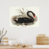 Poster Black Swan Vintage (Cuisine)