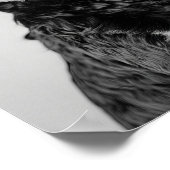 Poster Black & Tan Cavapoo Drinking Wine Wall Art, Black  (Coin)