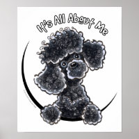 Black Toy Poodle IAAM
