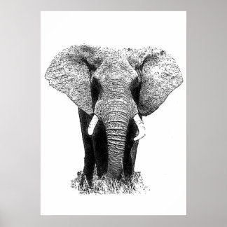 Poster Black & White Asian Elephant Pop Art