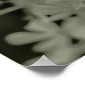 Poster Black & White Exposition de Blue Phlox Paniculata (Coin)