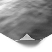 Poster Black & White Lion - Wild Animal Photography (Coin)