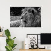 Poster Black & White Lion - Wild Animal Photography (Bureau à domicile)