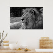 Poster Black & White Lion - Wild Animal Photography (Cuisine)