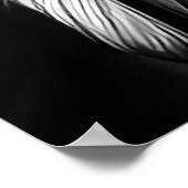 Poster Black White Native American Indian Man profil (Coin)