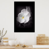 Poster Black & White Pansy (Cuisine)