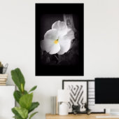 Poster Black & White Pansy (Bureau à domicile)