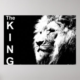 Poster Black White Photo Lion Modèle Nature Animal