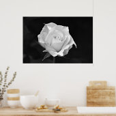 Poster Black & White Rose (Cuisine)