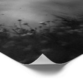 Poster Black White Runse Horse Freedom (Coin)