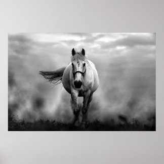 Poster Black White Runse Horse Freedom