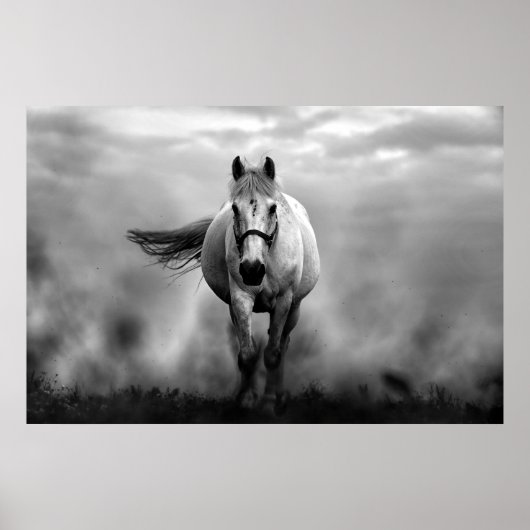 Poster Black White Runse Horse Freedom (Devant)
