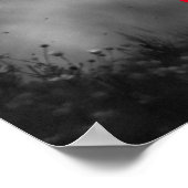 Poster Black White Runse Horse Freedom Inspirationnel (Coin)