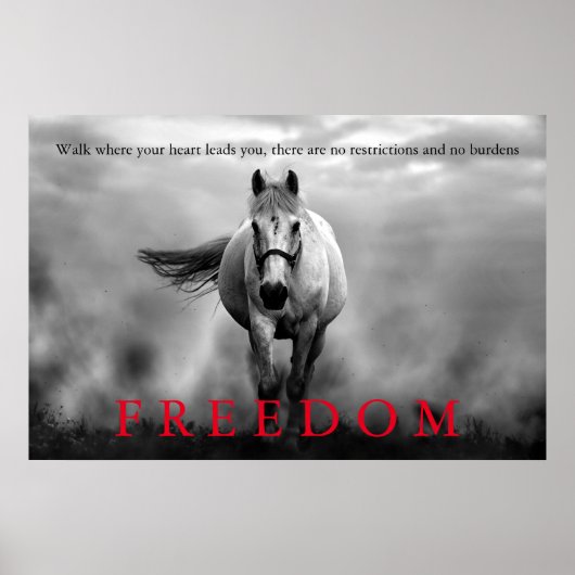 Poster Black White Runse Horse Freedom Inspirationnel (Devant)