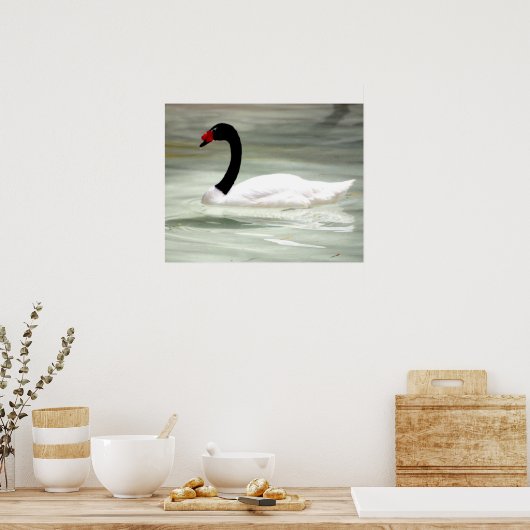 Poster Black & White Swan, l'Inséparable (Cuisine)