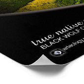 POSTER BLACK WOLF (Coin)