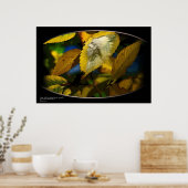 POSTER BLACK WOLF (Cuisine)