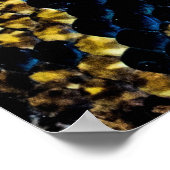 Poster Black, yellow, and gray python (Coin)