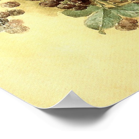 Poster "Blackberries" par Paul de Longpré (Coin)