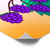 Poster Blackberries sur une branche (Coin)