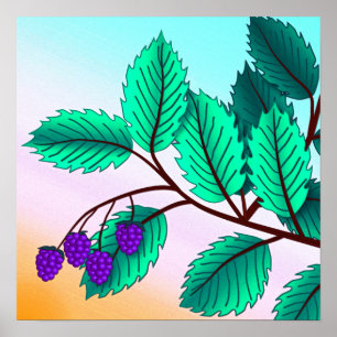 Poster Blackberries sur une branche