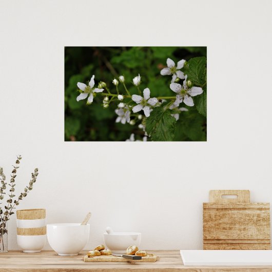 Poster Blackberry Blossoms (Cuisine)