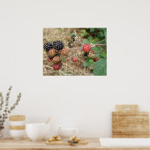 Poster Blackberry Bonanza (Cuisine)