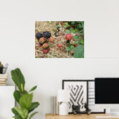 Poster Blackberry Bonanza (Bureau à domicile)