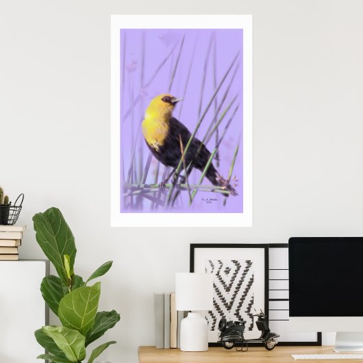 Poster Blackbird à tête jaune...Imprimer. (Bureau à domicile)