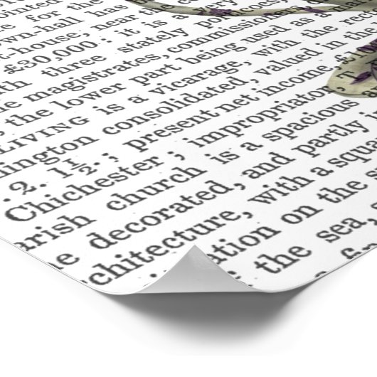 Poster Blackbird Dans Teup (Coin)