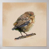 Poster Blackbird Fledgling` (Devant)